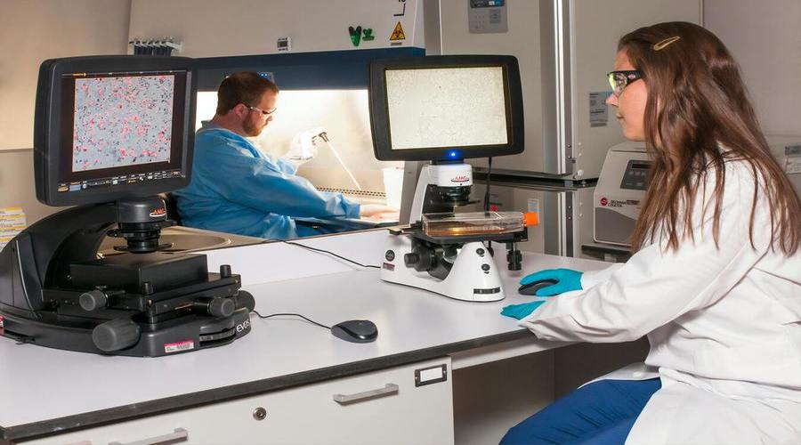 Cyber Risk in Life Sciences: Protecting Confidential Information in Cyberspace